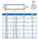 Gewindestifte M8 X 6 mit Innensechskant u. Ringschneide DIN 916 Edelstahl A2