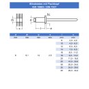 Blindniet 4,8 X 8 mm mit Flachkopf DIN 7337 Edelstahl A2