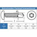 Bohrschrauben mit Linsenkopf 4,2X32 TX20 Form M, Innensechsrund DIN 7504 Edelstahl A2