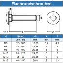 Schlossschrauben M5 X 40/40 DIN 603 Edelstahl A2