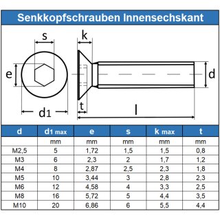 Senkkopf-Sicherheitsschrauben mit Zweilochantrieb Edelstahl A2 Blechg,  15,96 €